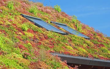 Stonham Aspal living roof systems